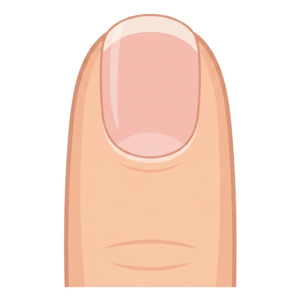 つめ