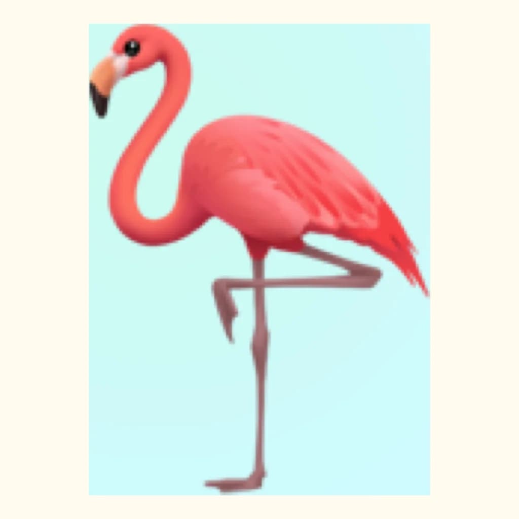 ふらみんご