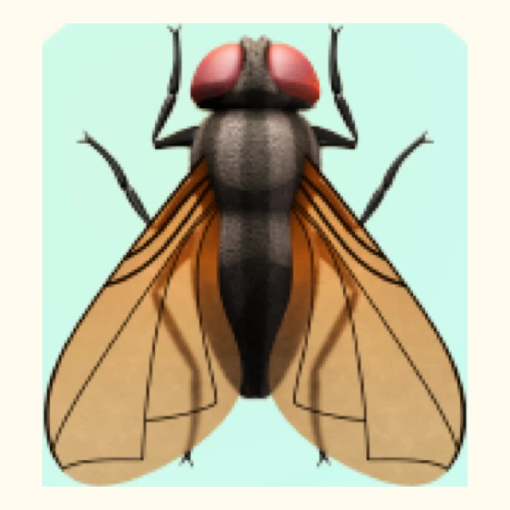 にいにいぜみ