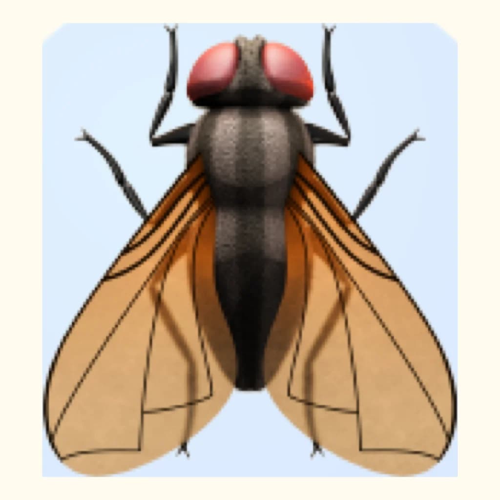 あきあかね