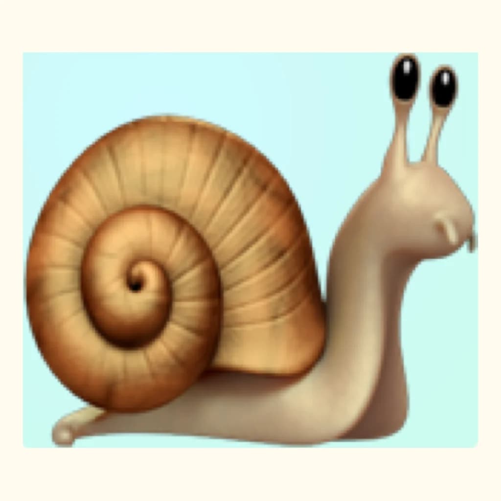 あめふらし