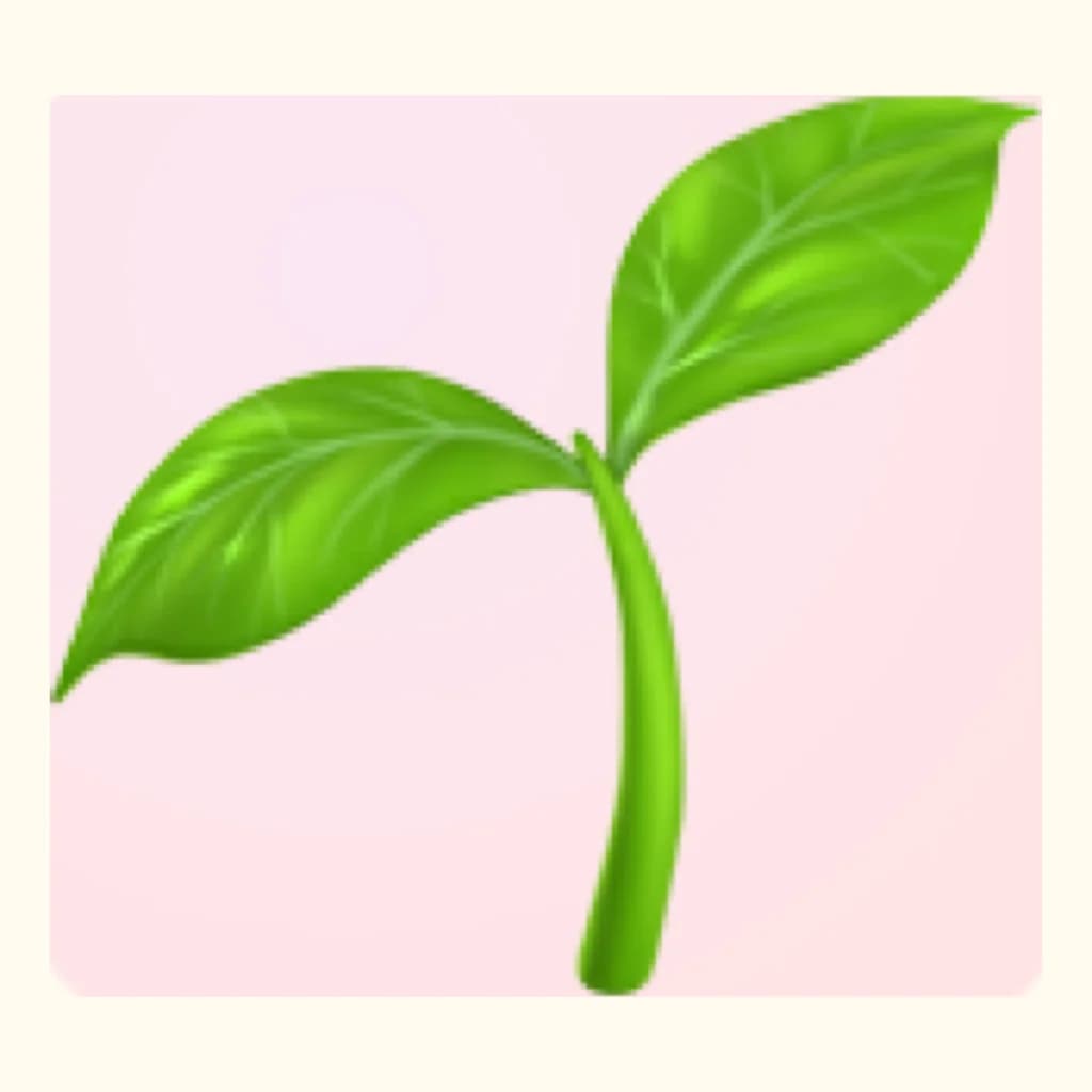 つくし