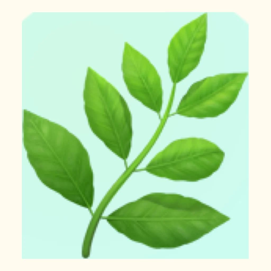 ばじる