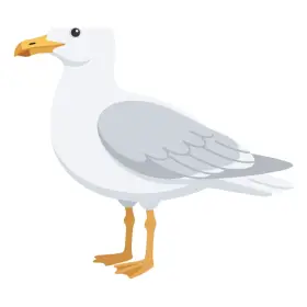 かもめ