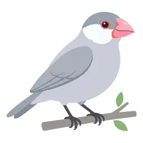 ぶんちょう