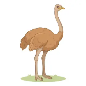 だちょう