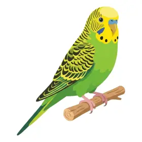 いんこ