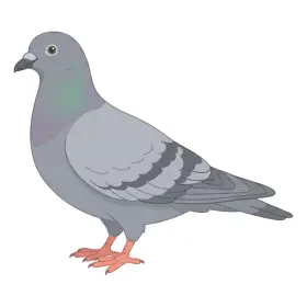 はと