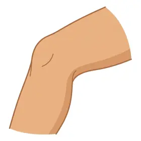 ひざ