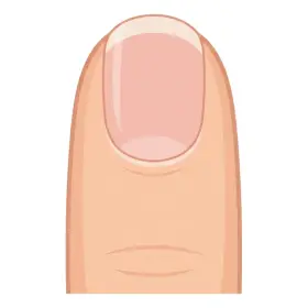 つめ