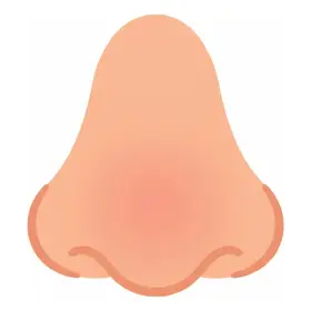 はな