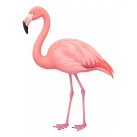 ふらみんご