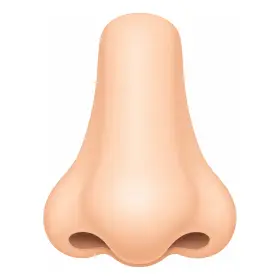 はな