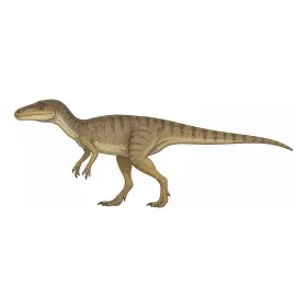 へれらさうるす