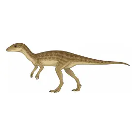れそとさうるす