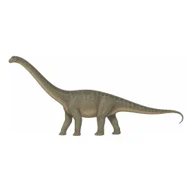 でぃぷろどくす