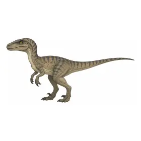 ゔぇろきらぷとる