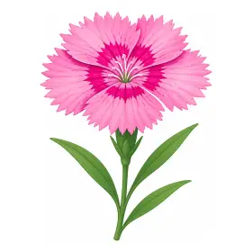 なでしこ