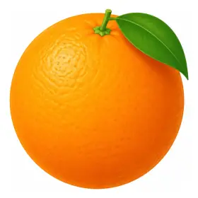 おれんじ