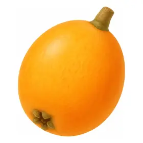 びわ