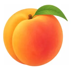 もも