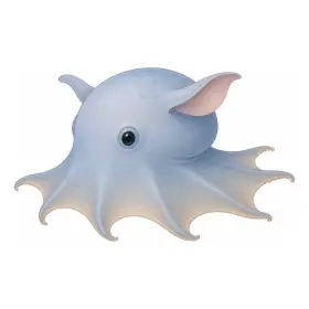めんだこ