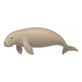 じゅごん