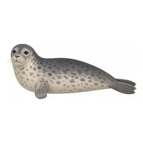 あざらし