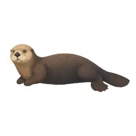 らっこ