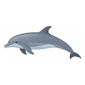 ばんどういるか