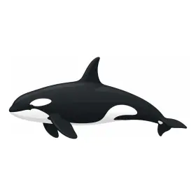 しゃち