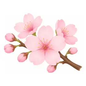 さくら