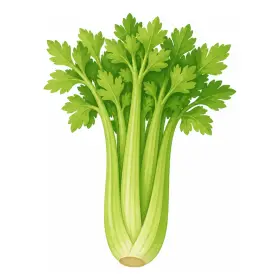 せろり