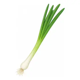 ねぎ