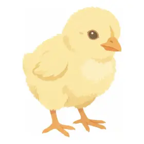 ひよこ