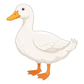 あひる