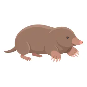 もぐら