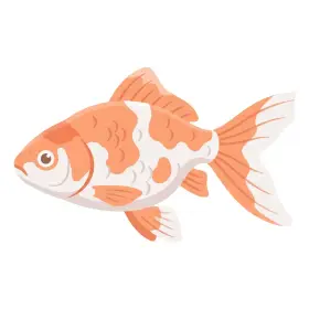 きんぎょ