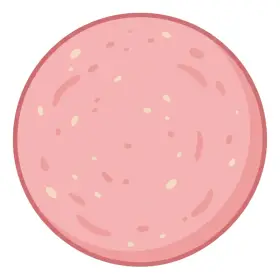 はむ