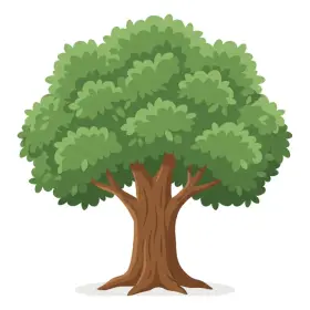 き