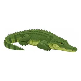 わに