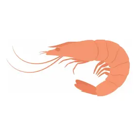 えび