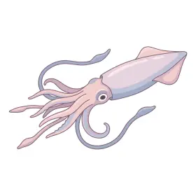 いか
