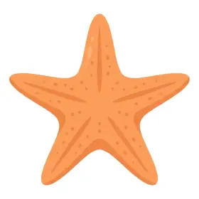 ひとで